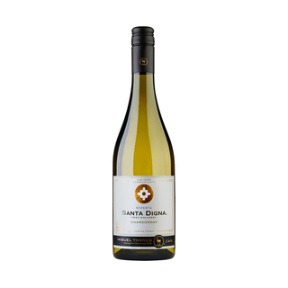 VINO BLANCO SANTA DIGNA CHARDONNAY 750ML