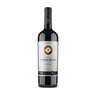 VINO TINTO SANTA DIGNA CARMENERE 750ML